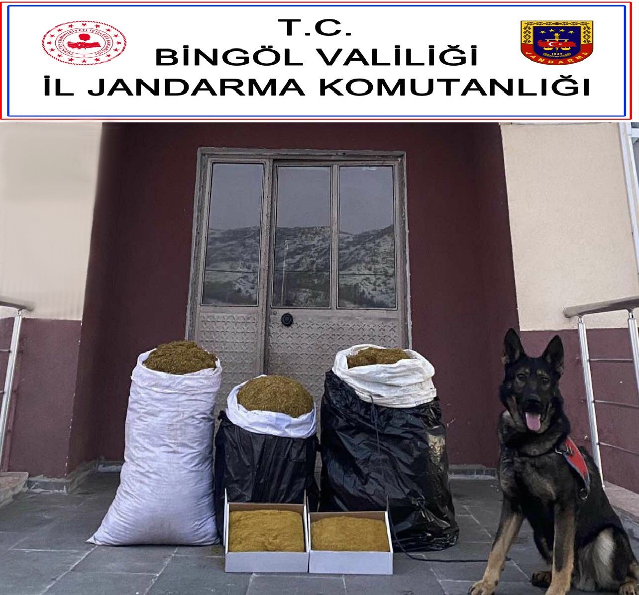 ’Yaba’ kokladı, Bingöl’de 75 kilo kıyılmış tütün ele geçirildi