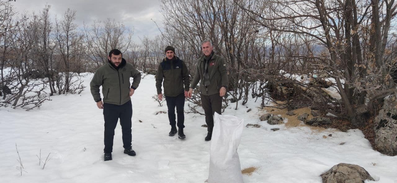 Bingöl’de  yaban hayvanları için doğaya yem bırakıldı