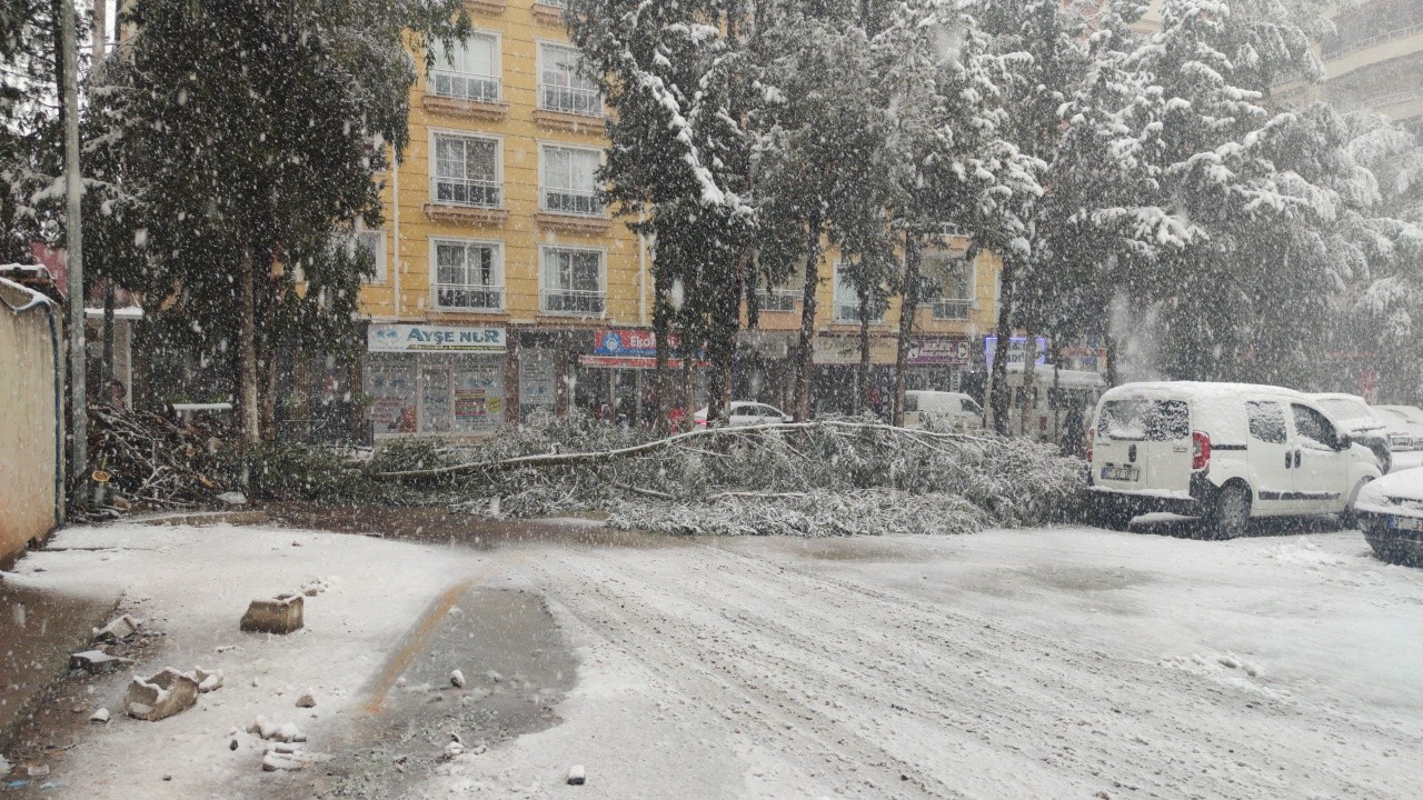Gaziantep’te yoğun kar yağışı nedeniyle ağaçlar devrildi #gaziantep