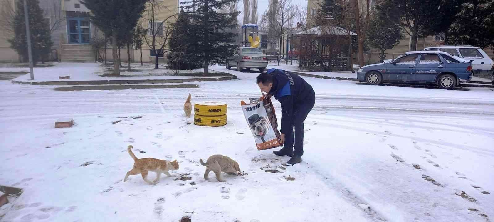Hisarcık Belediyesi sokak hayvanlarını unutmadı #kutahya