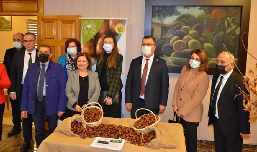 Aydın’da ’Kestane Farkındalık Günü’ etkinliği düzenlendi