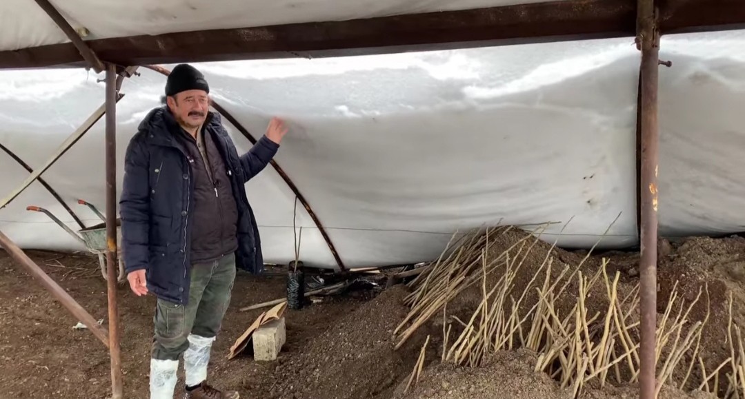 Kahramanmaraş’ta yoğun kar nedeniyle ceviz seraları zarar gördü #kahramanmaras