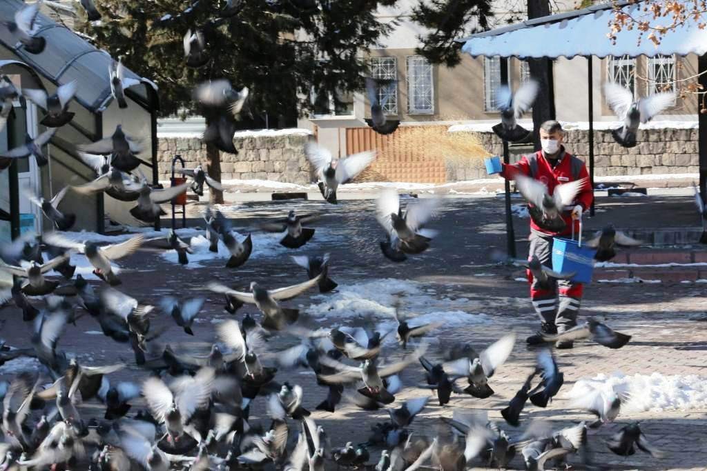 Kocasinan’dan kış mevsimi boyunca sokak ve yaban hayvanları için 13 ton yem #kayseri