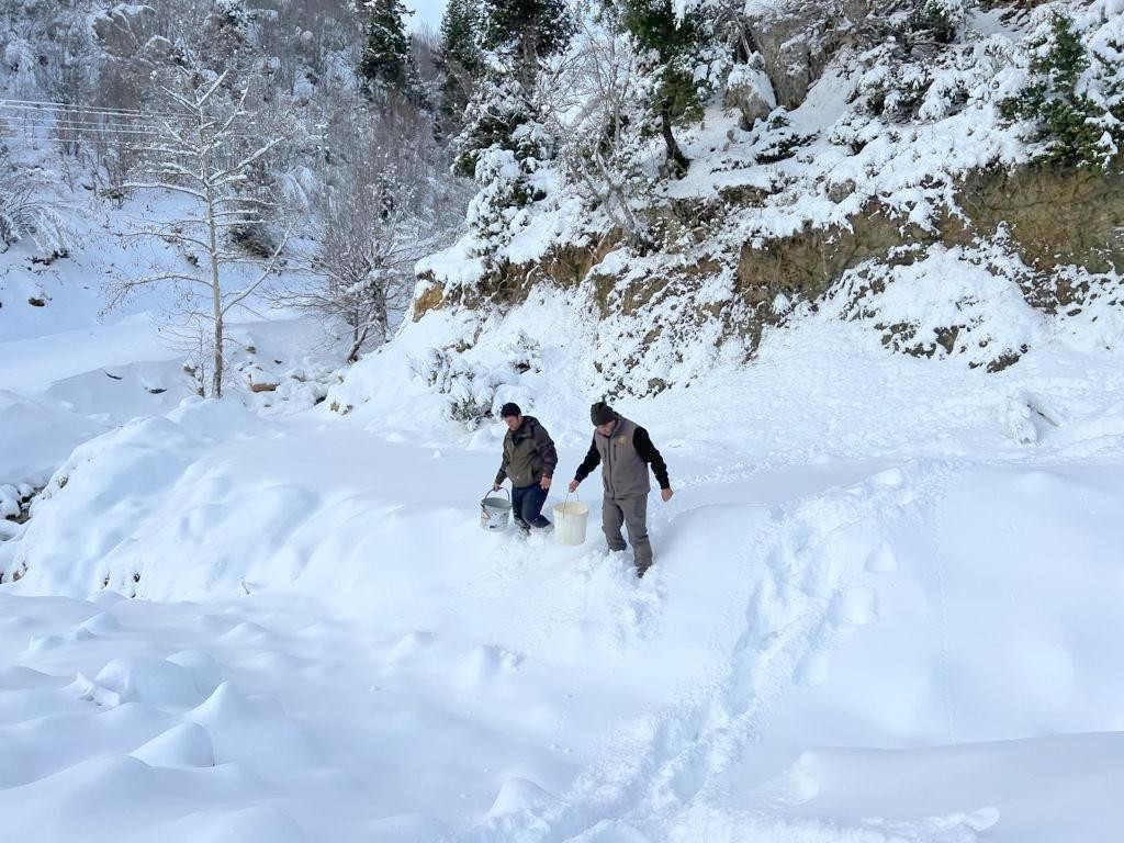 Karlı yollar yaban hayvanları için aşıldı #osmaniye