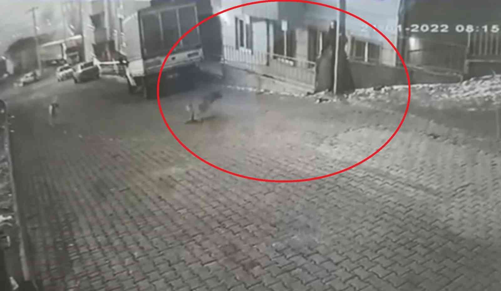 Karne almak için okula giden genç kıza sokak köpekleri saldırdı #kastamonu