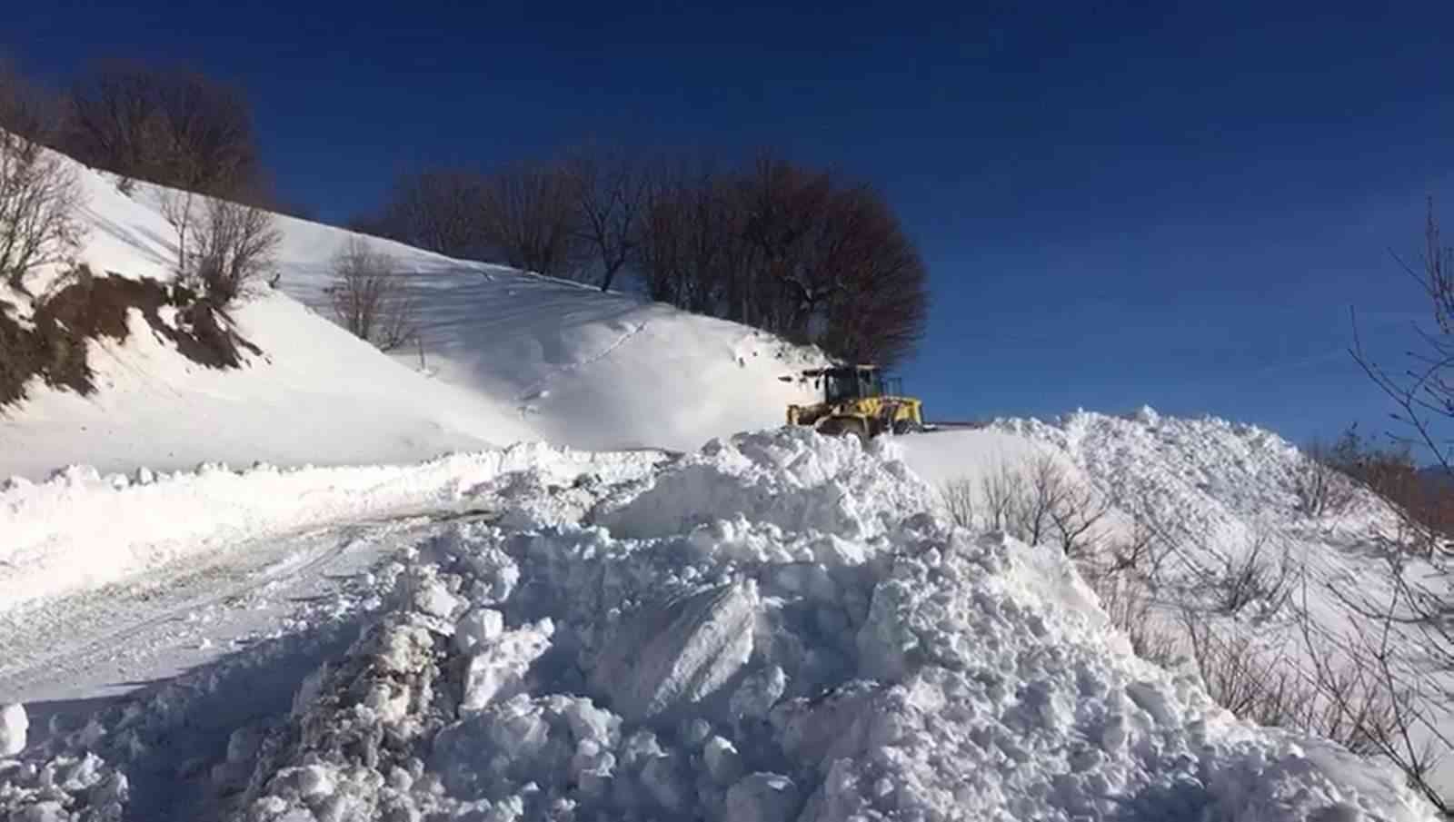 Siirt’te kar nedeniyle 73 köy yoluna ulaşım sağlanamıyor #siirt
