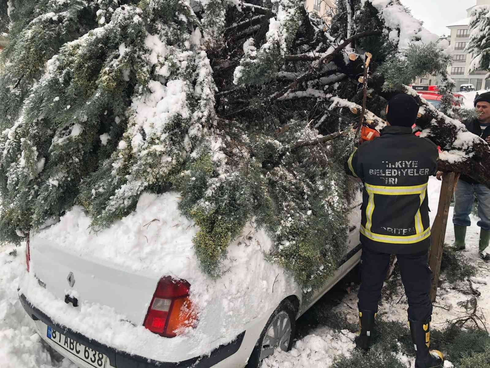 Kar yağışına dayanamayan ağaç, otomobilin üzerine devrildi #duzce