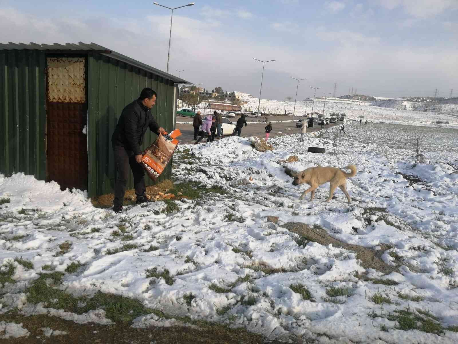 Alaşehir Belediyesi sokak ve yaban hayvanlarına yiyecek bıraktı #manisa