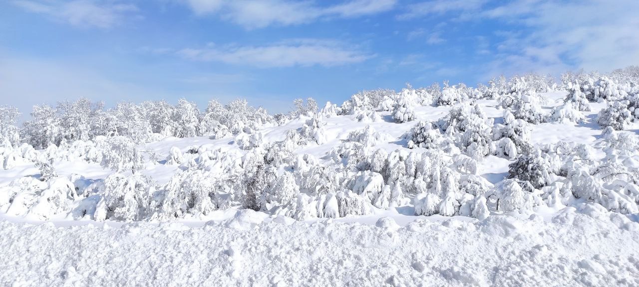 Çekerek’te kar kalınlığı 1 metreye yaklaştı #yozgat