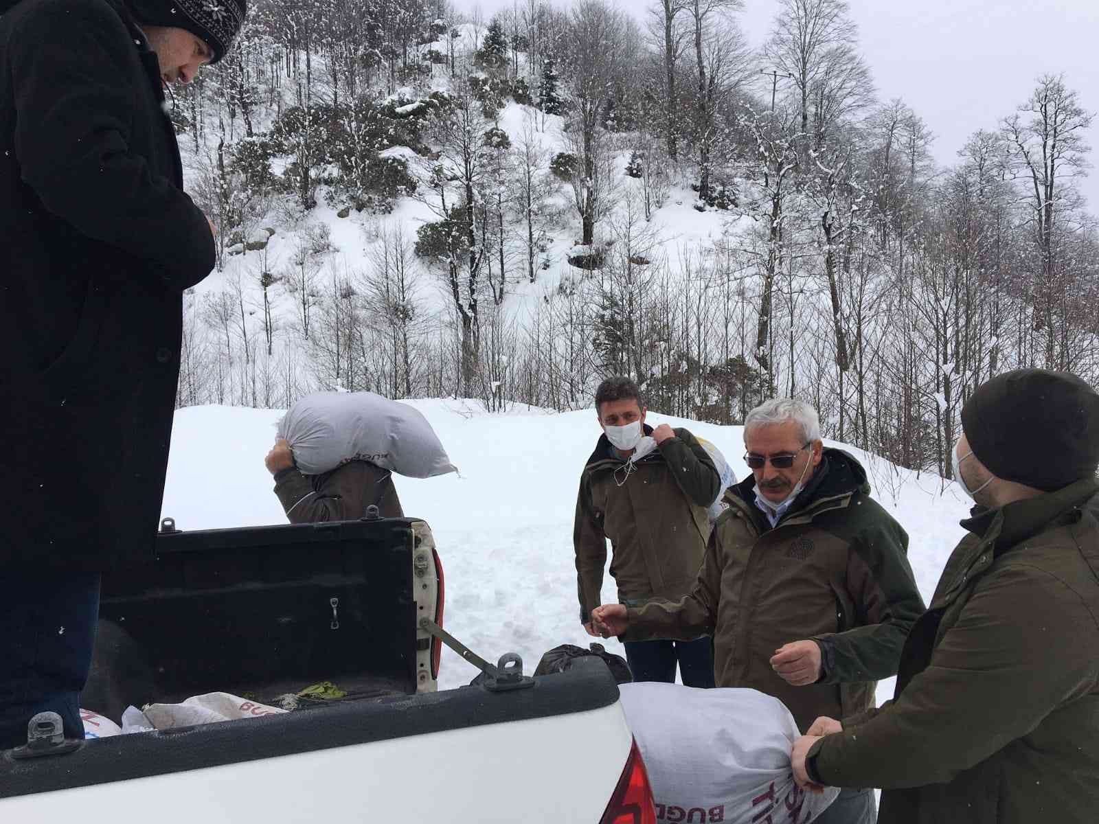 Trabzon’da yaban hayvanları unutulmadı