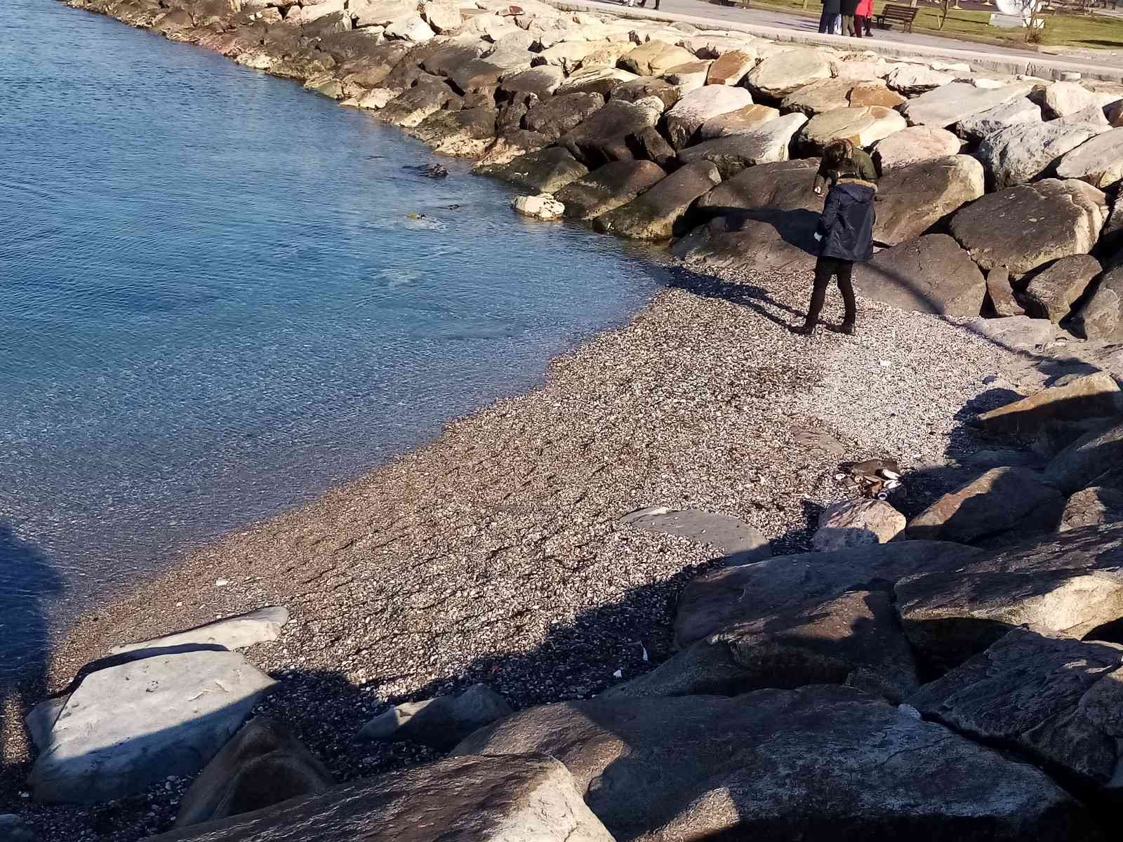 Bandırma’da deniz çekilmesinin 20. günü