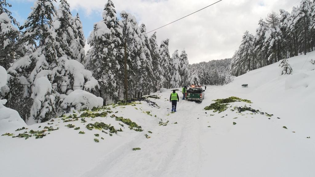 Soğuk havada karlı yollar yaban hayvanları için aşıldı #osmaniye