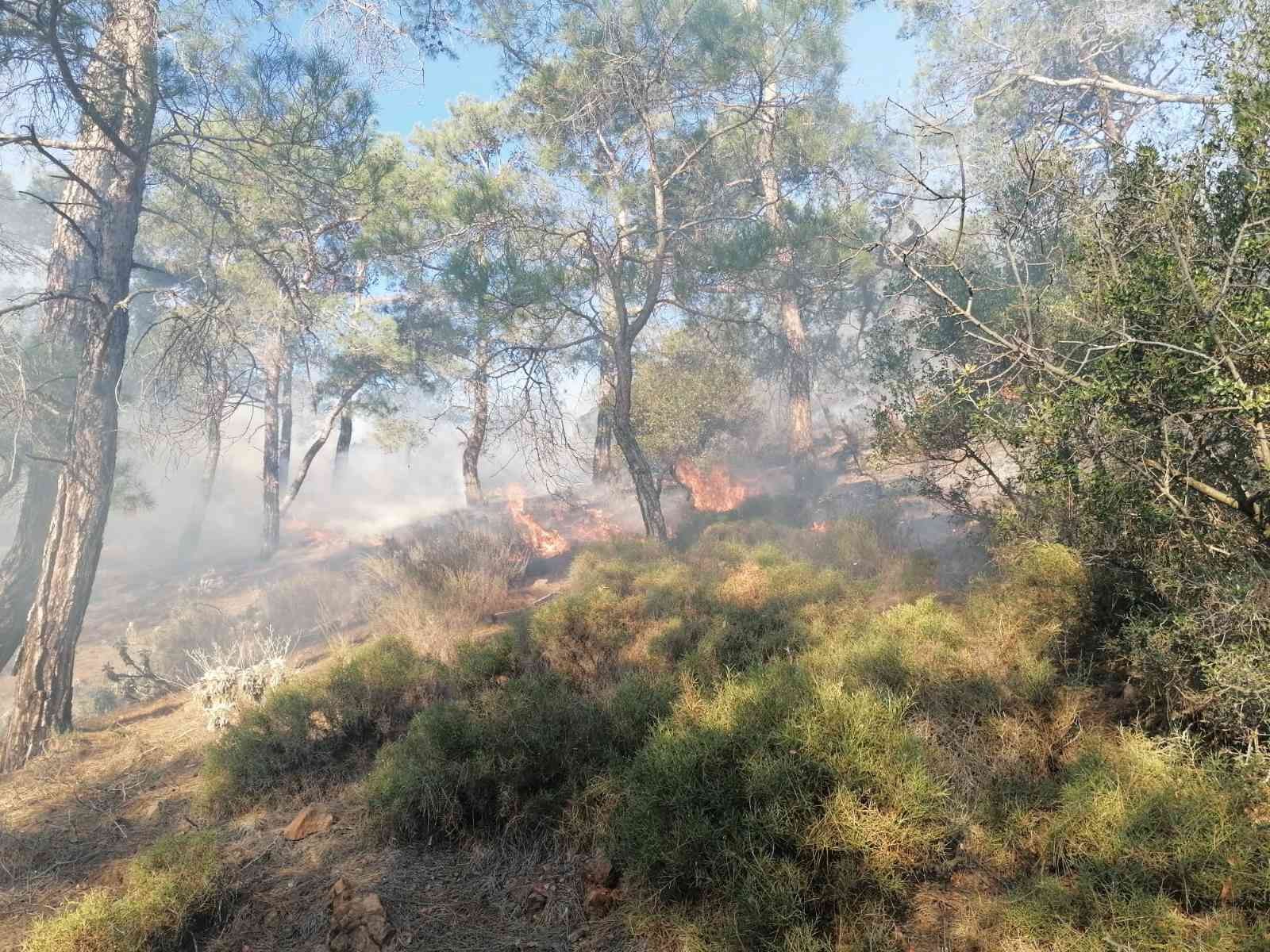 Fethiye’de orman yangınının yayılmasına jandarma engel oldu #mugla