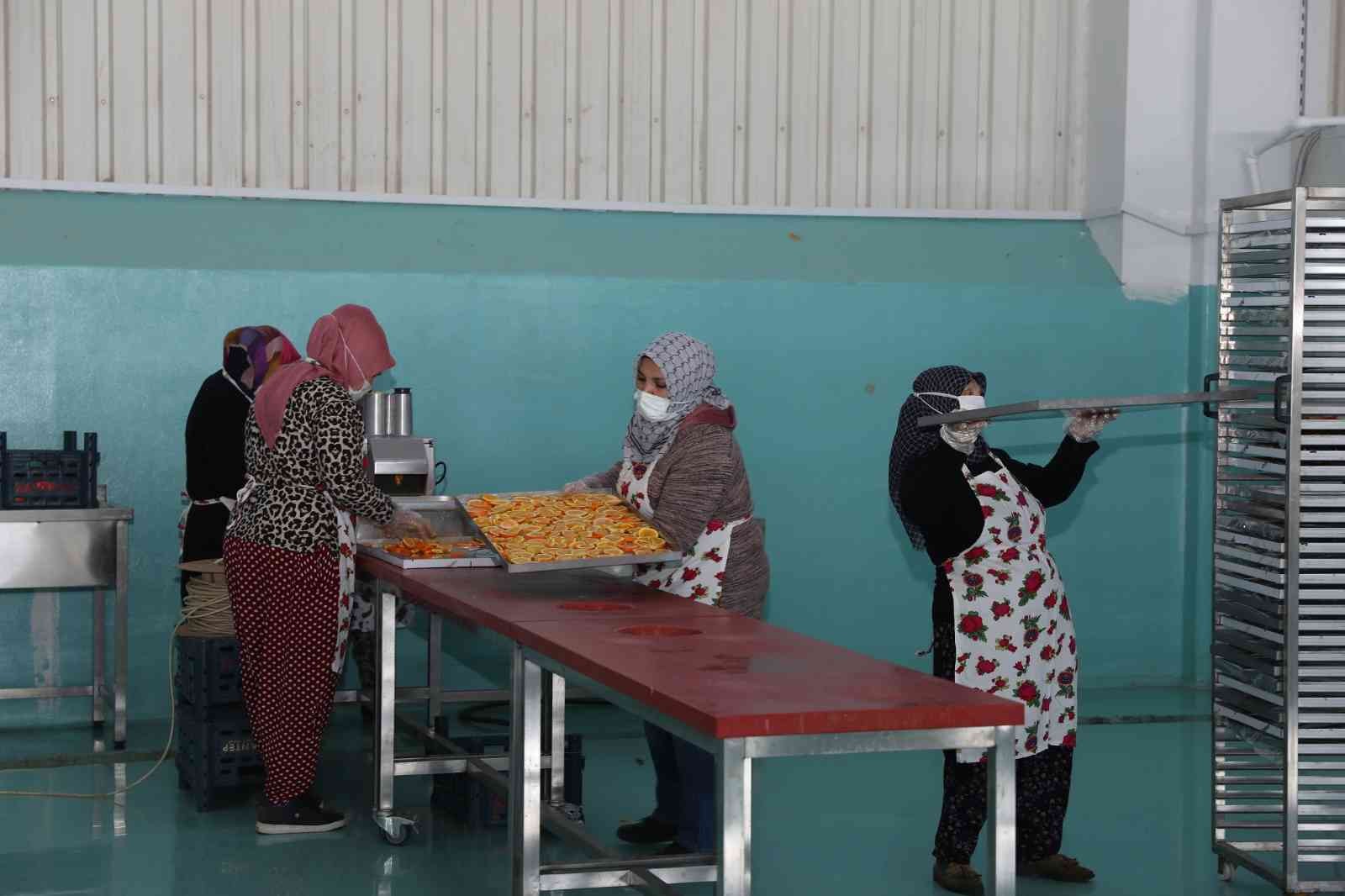 Oğuzelili kadınlar kurutulmuş meyve ihracatı hazırlığında #gaziantep