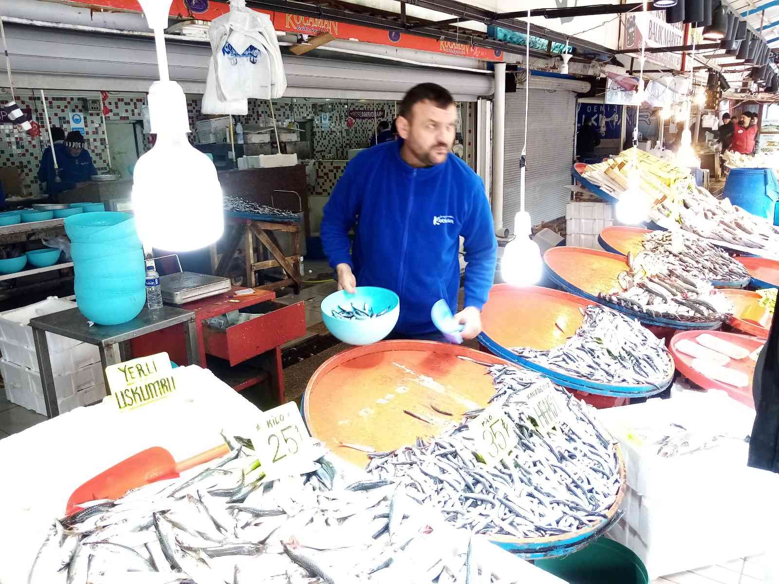 Bandırma Balıkhaline hamsi ve kolyoz akını #balikesir Bandırma Balıkhaline hamsi ve kolyoz akını #balikesir