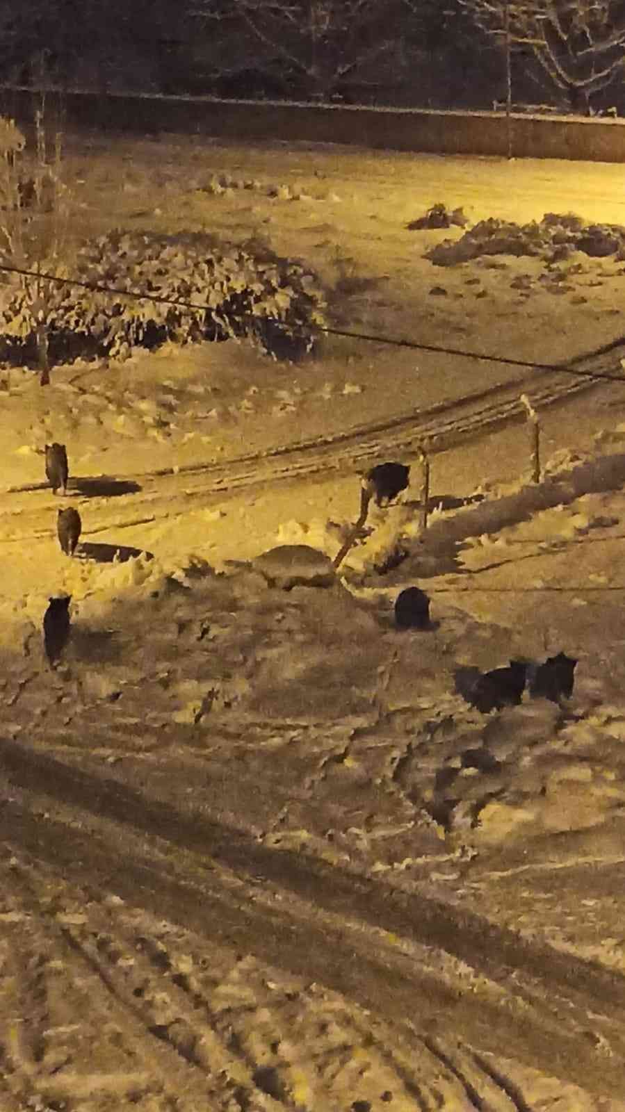 Balkondan kar yağışına bakmaya çıkan çift hayatlarının şokunu yaşadılar #kirsehir