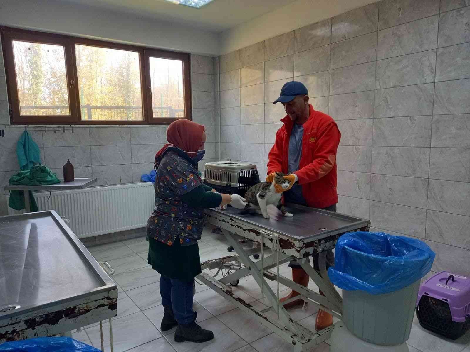 Bir yılda 263 köpek sahiplendirildi #duzce