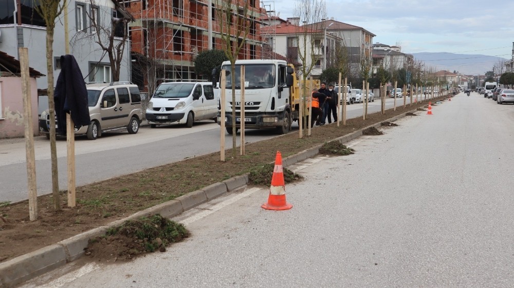 Düzce Belediyesi bin 920 ağaç dikimi yaptı #duzce