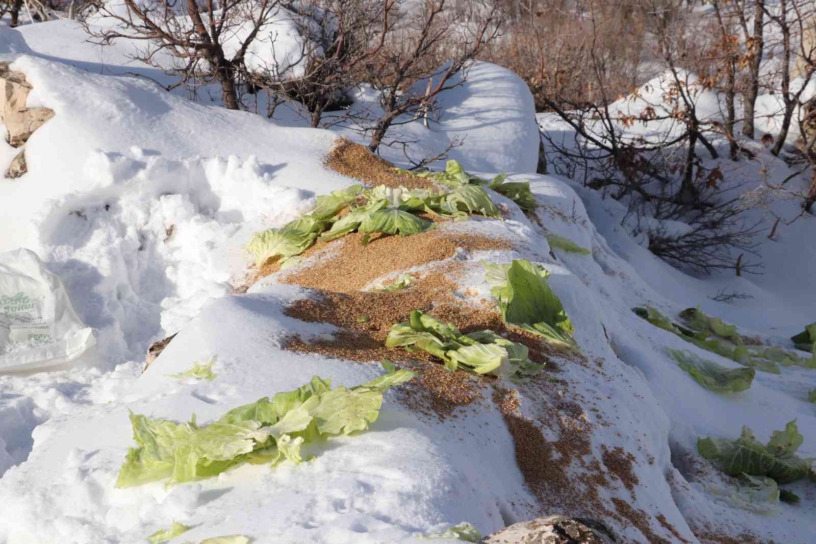 Siirt’te karda yiyecek bulamayan yaban hayvanları için doğaya 350 kilo yem bırakıldı #siirt