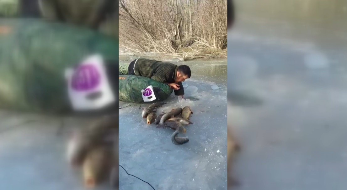 Buz altından elle balık çıkarıyor #erzincan