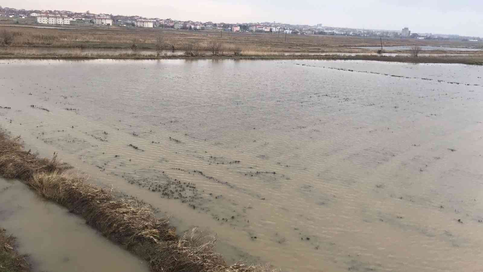 Ergene Nehri taştı, tarım arazileri su altında kaldı #edirne