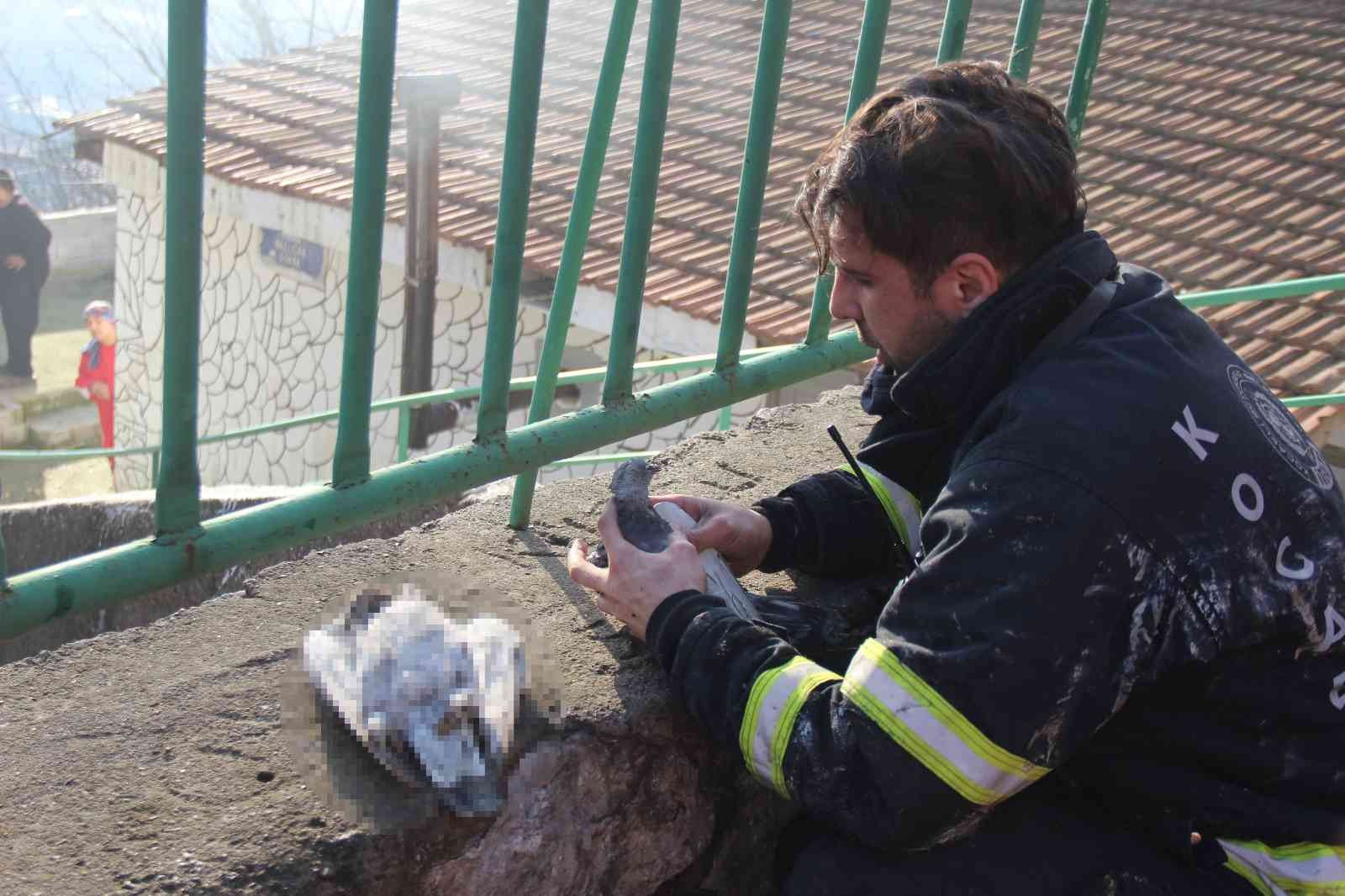 Yangında telef olan köpeklerinin çantasına sarılarak gözyaşlarına boğuldu #kocaeli