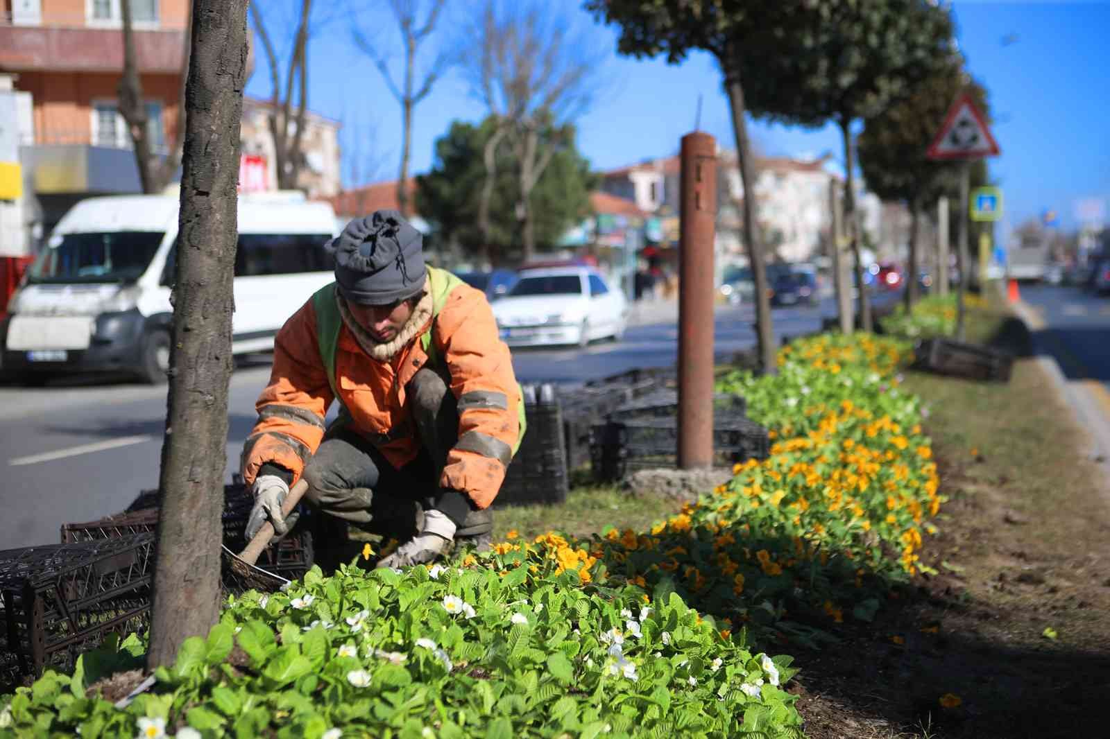 Şehrin sokakları rengarenk çiçek bahçesine dönüşüyor