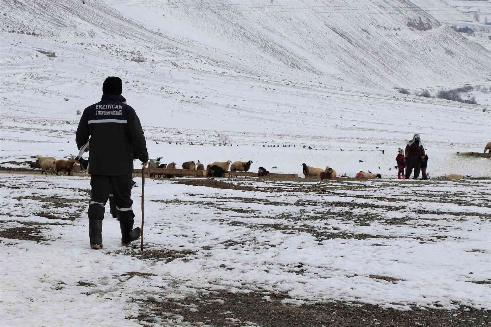 Karlı yolları aşıp besicilere ulaşıyorlar #erzincan