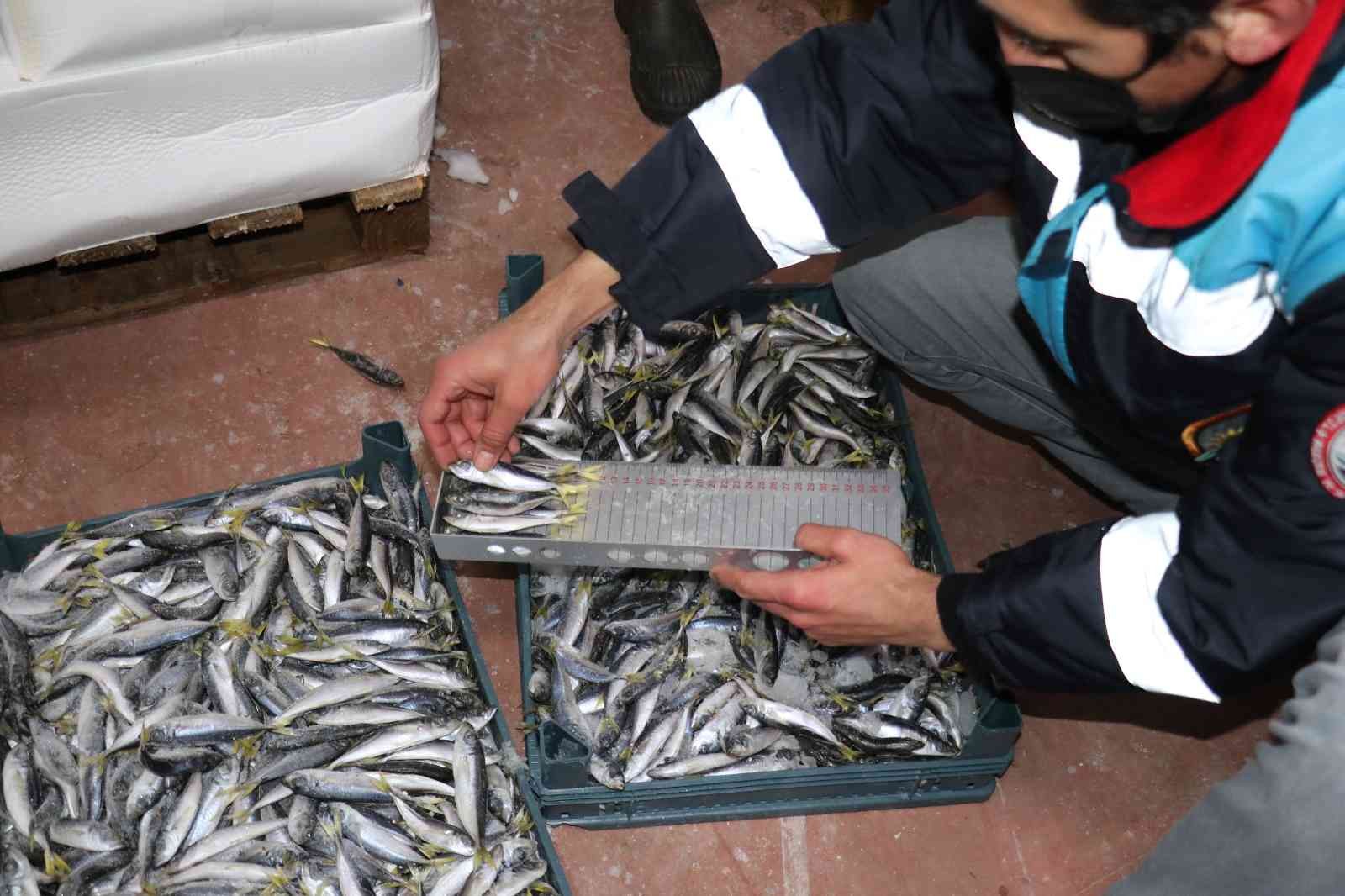 Boy ve av yasağına uymayan 8 tona yakın balığa el konuldu #izmir