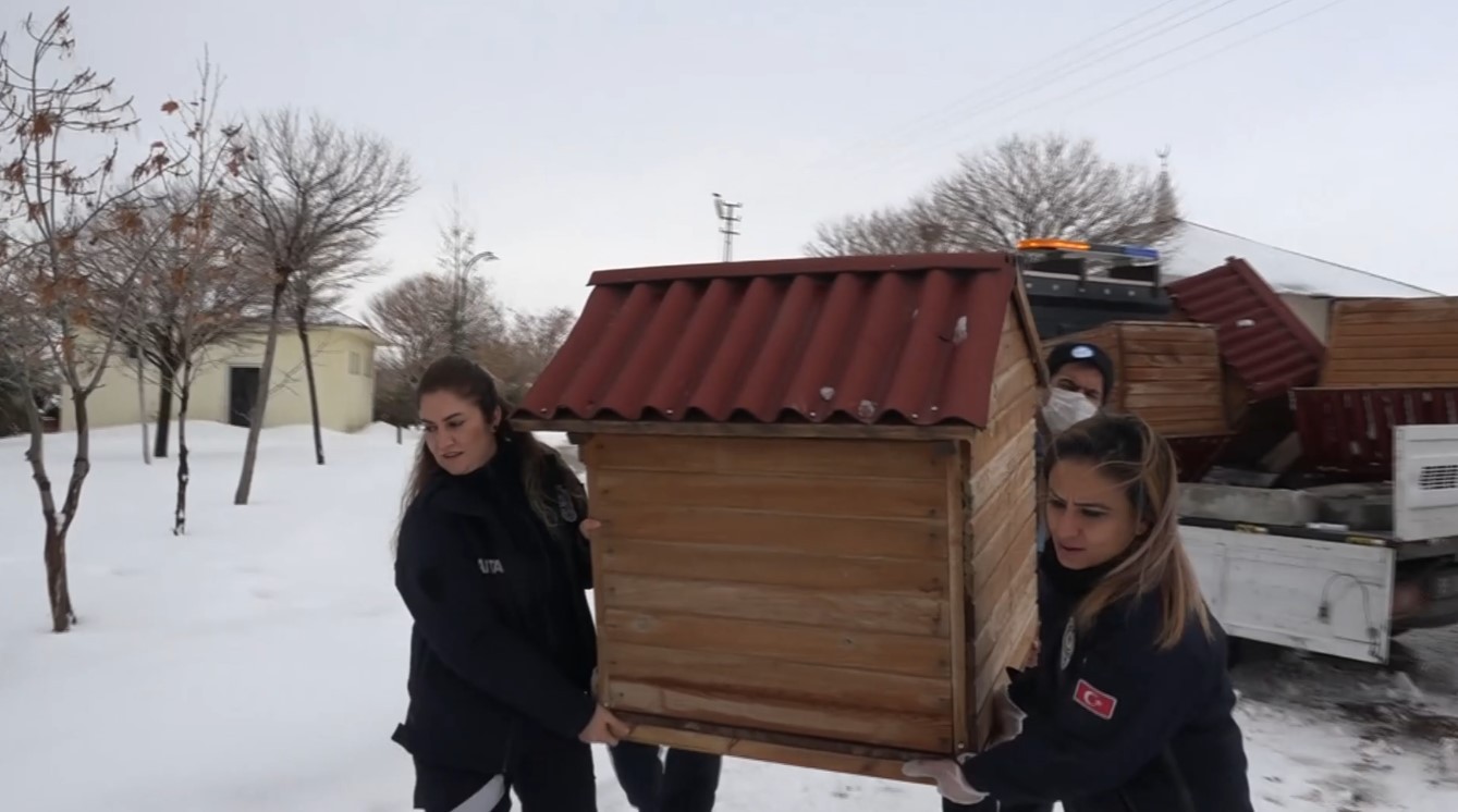 Erciş Belediyesinden sokak hayvanları için kulübe