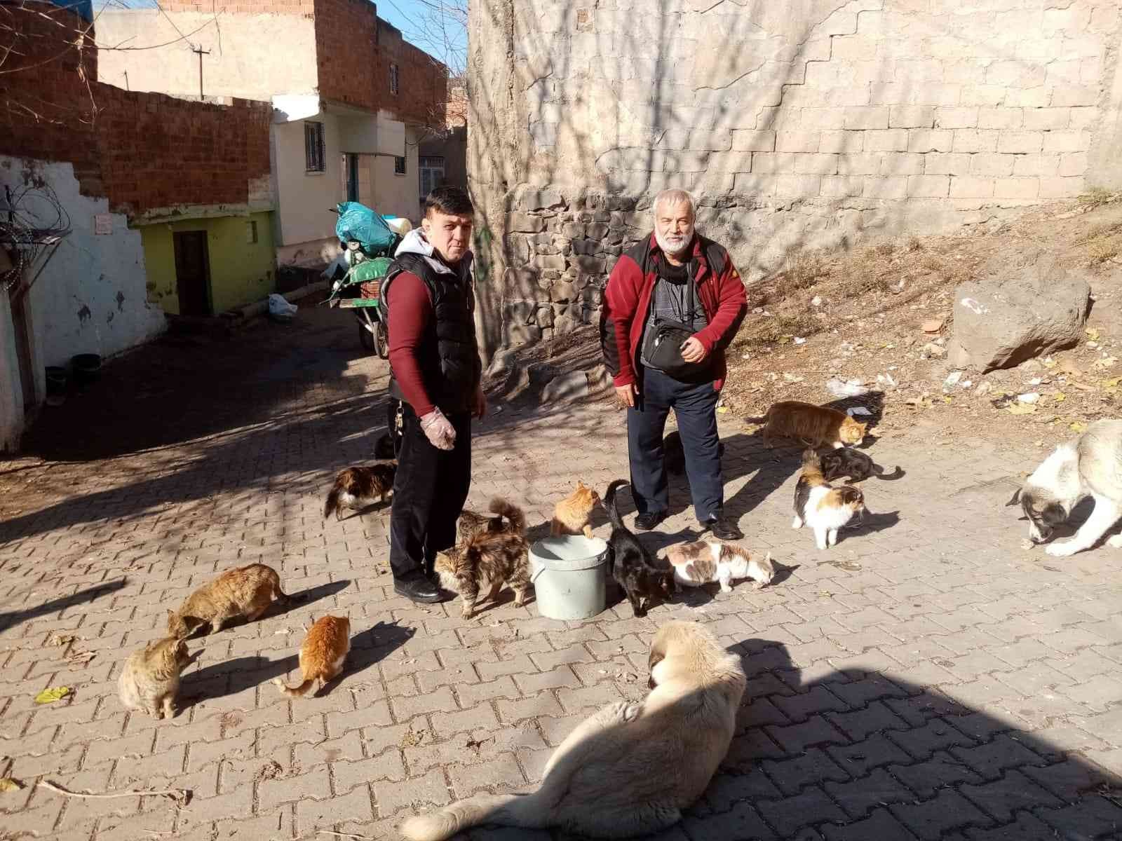 Diyarbakır’da sokak hayvanları için dernek kuruldu #diyarbakir