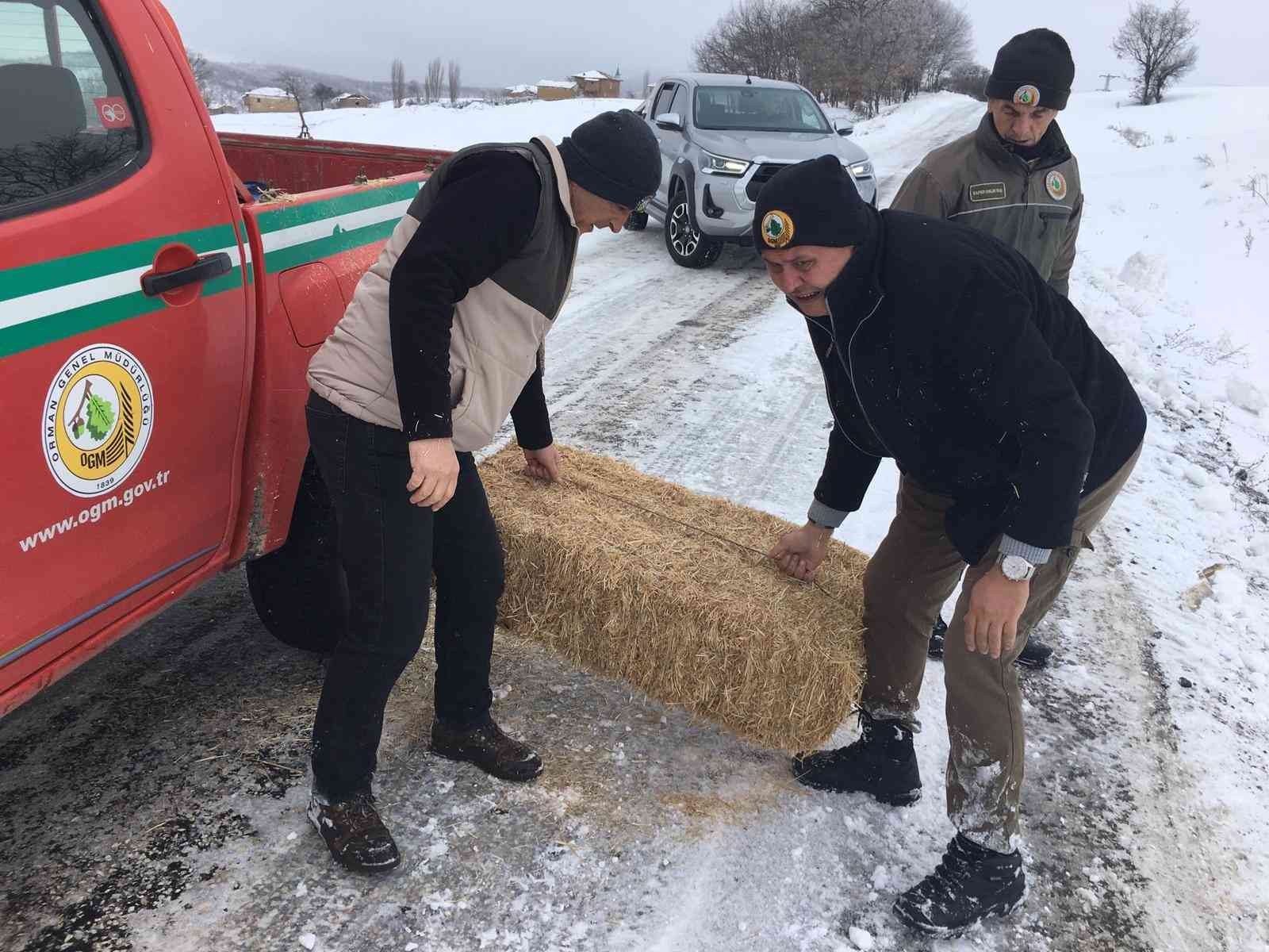 Yaban hayvanları unutulmadı