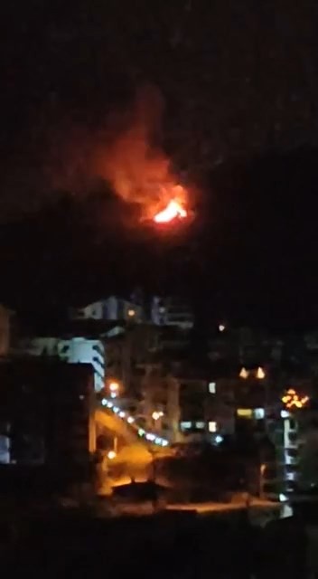 Bursa’da alevleri görenler orman yangını zannetti, bağ evi yangını çıktı