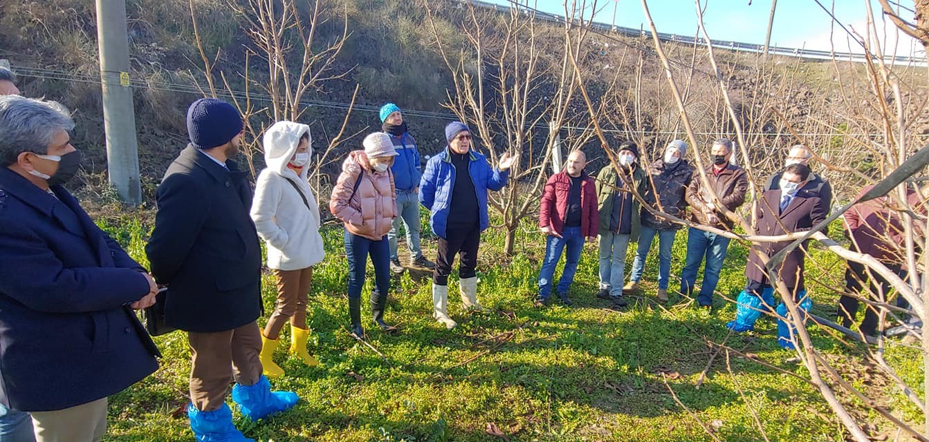 Altınova’da çiftçilere budama eğitimi
