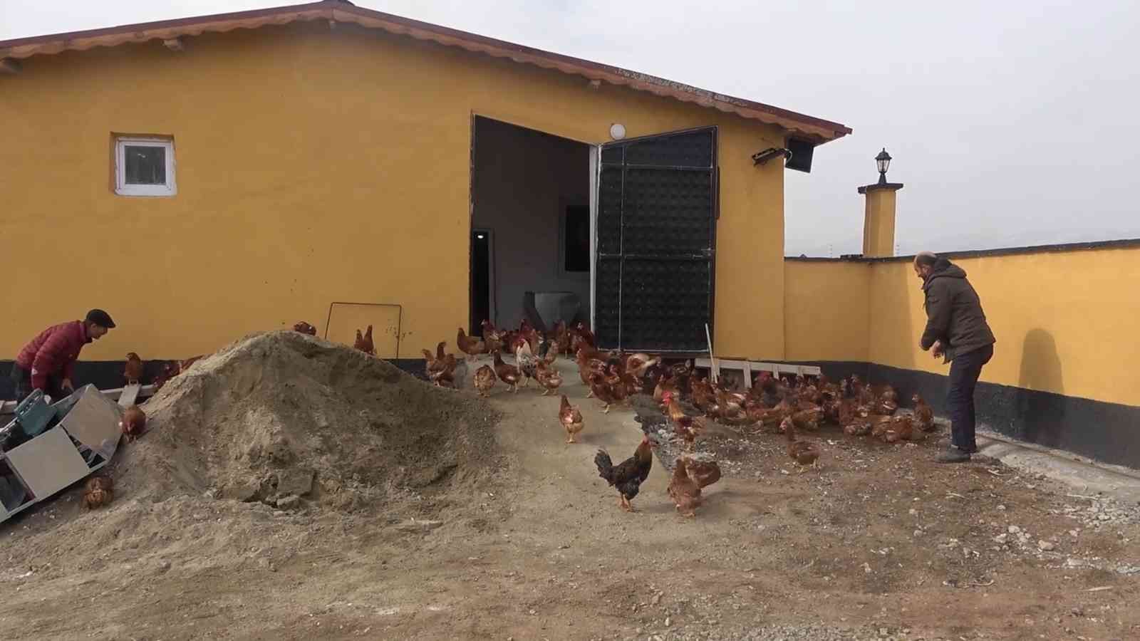 Yoğun talep üzerine tavuk çiftliği kurdu, şimdi paraya para demiyor #kirikkale