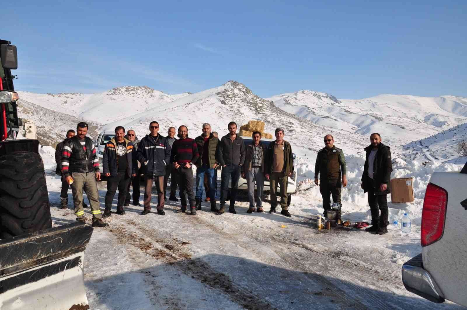 Emirdağ yaylasındaki yılkı atlarını unutmadılar