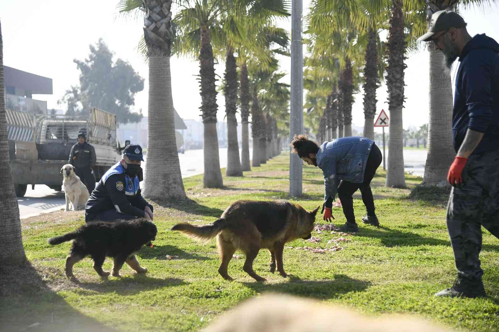 Adana’da sokak hayvanları unutulmadı #adana