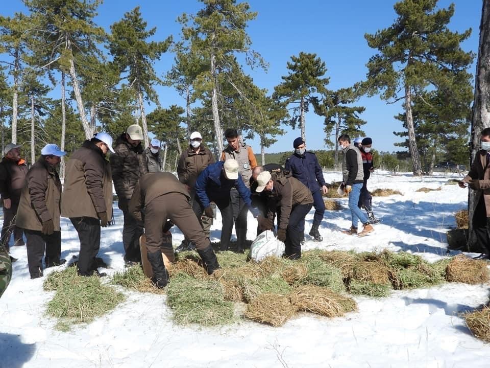 Yaban hayvanları için yemleme çalışması yapıldı