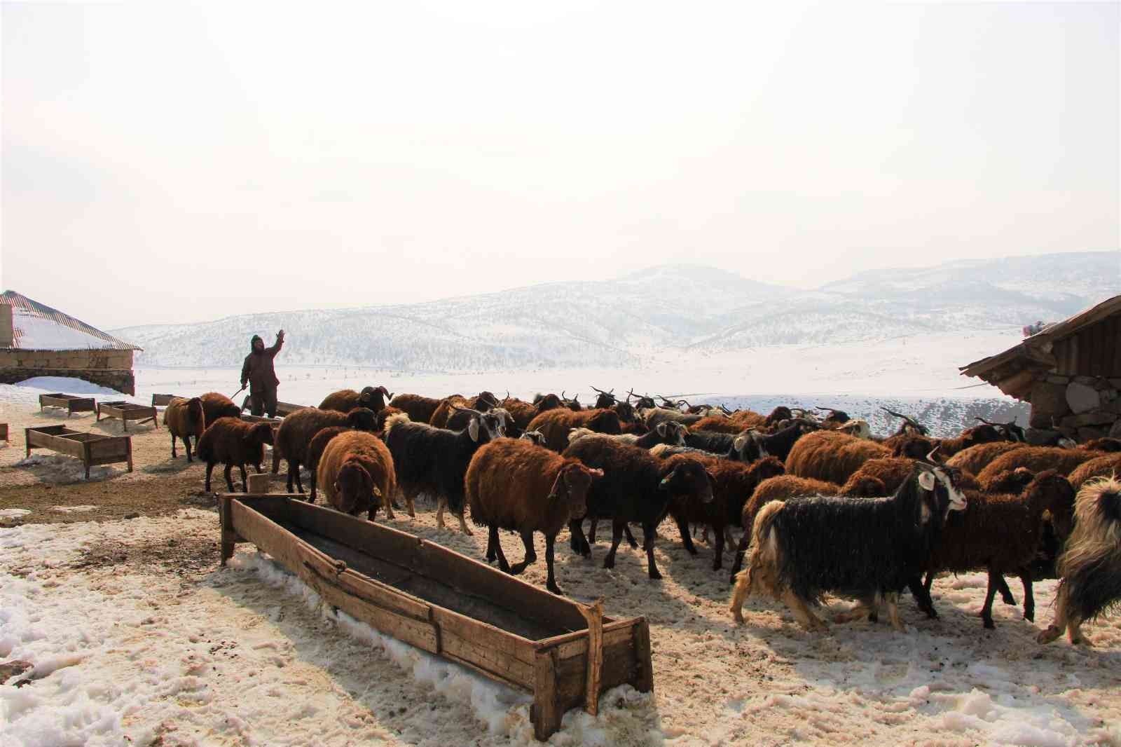 Bingöl’de besicilerin kış mesaisi sürüyor