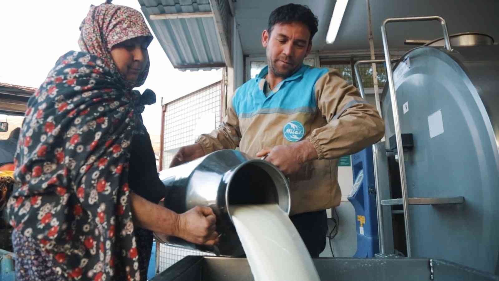 Üreticiler çiğ süt desteğinin arttırılmasını istiyor #mugla
