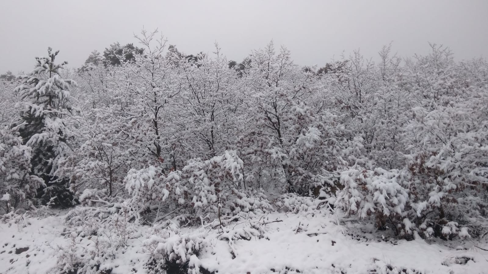 Karaçam’da uzayan kış çiftçiyi memnun etti