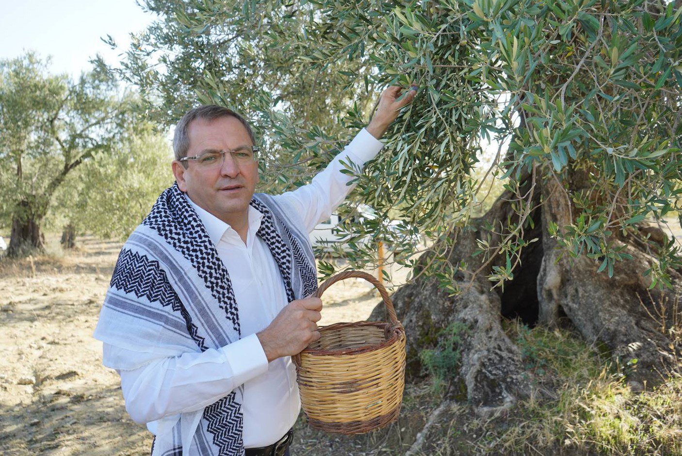 Ayvalık Belediye Başkanı Ergin’den zeytin ağacı tepkisi #balikesir