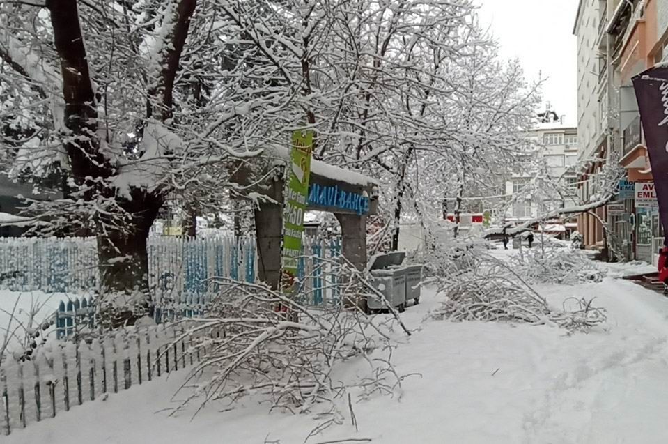 Konya’da kar yağışı ağaçları devirdi #konya