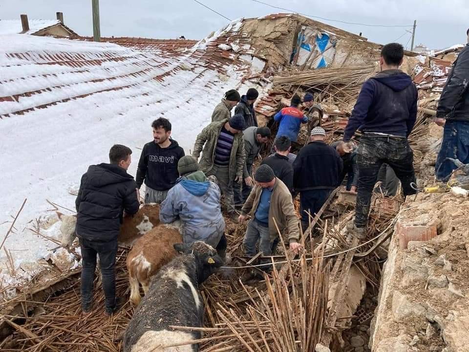 Kütahya’da çöken ahırın altında kalan 15 büyükbaş hayvanı köylüler kurtardı #kutahya