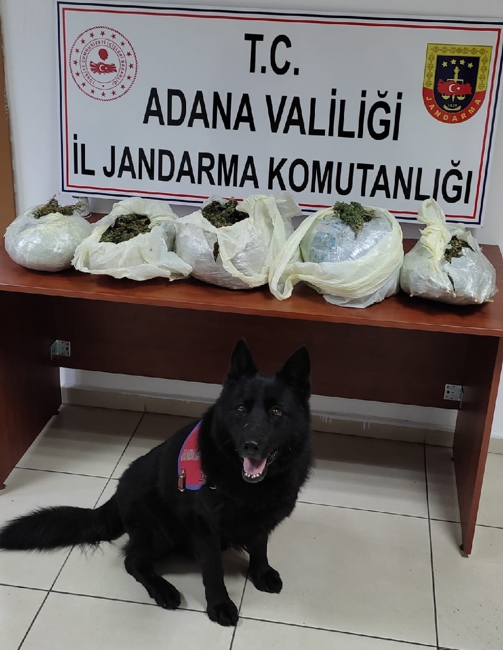 Adana’da uyuşturucu operasyonu: 1 gözaltı #adana