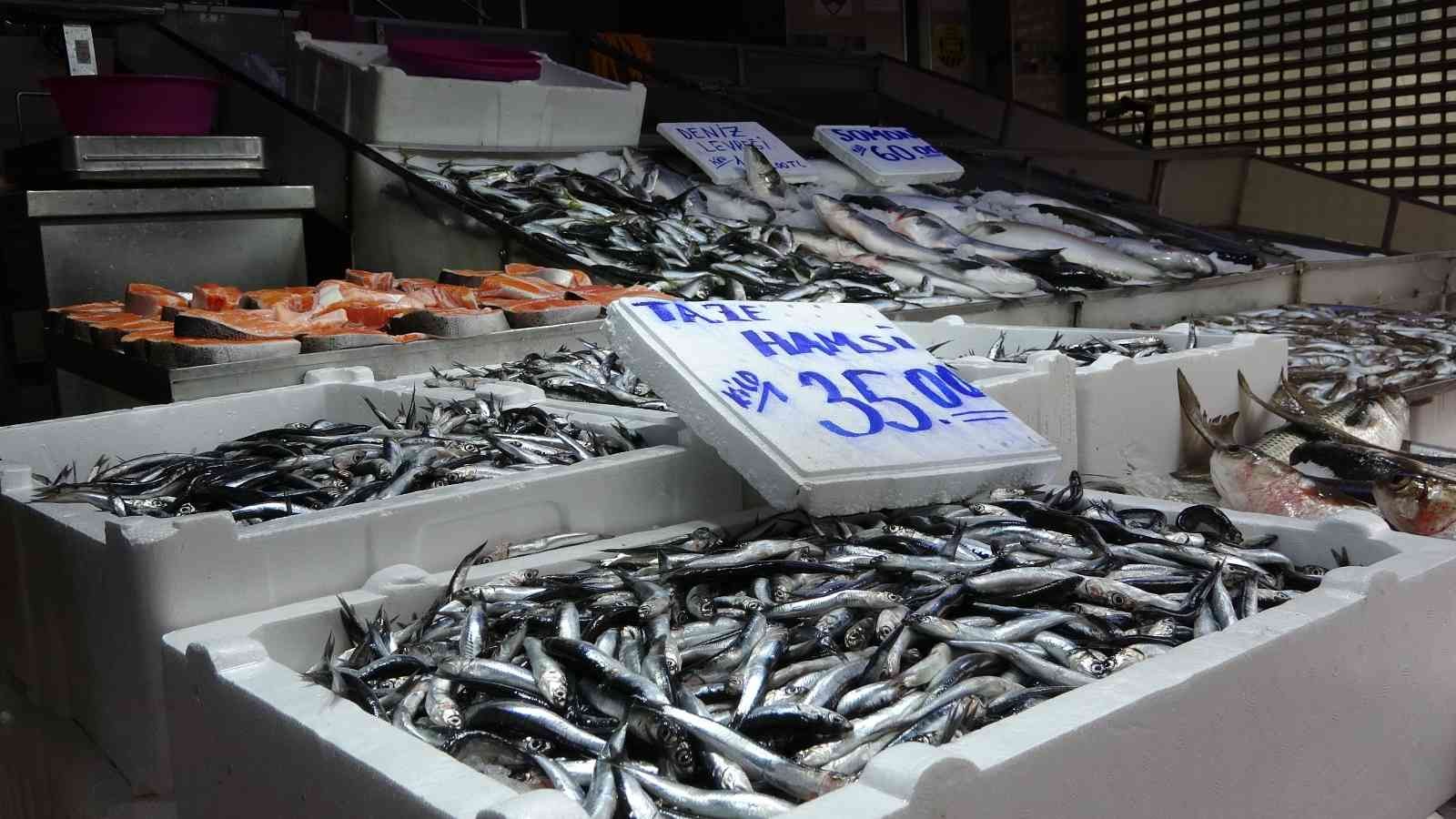 Balıkçıların akaryakıt endişesi #sinop