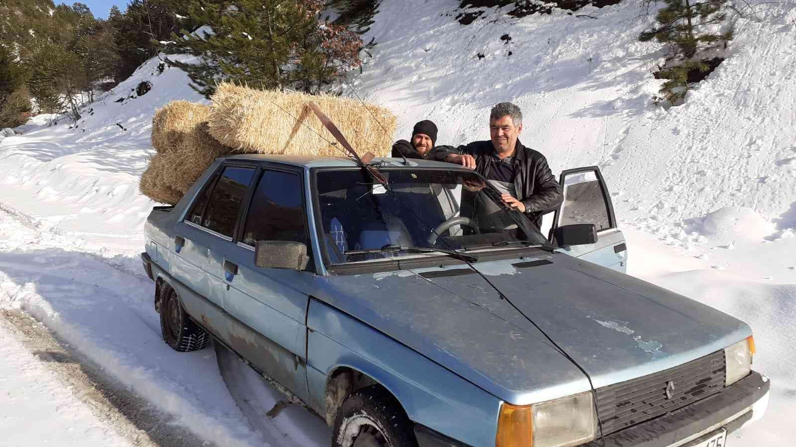 Karlı dağda yoluna çıkan yılkı atlarına otomobiliyle saman taşıdı #amasya