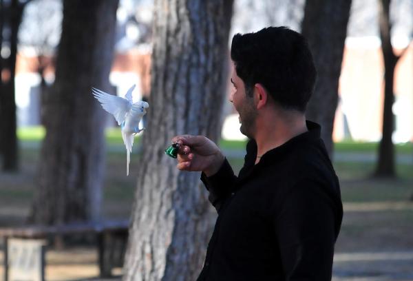 Muhabbet kuşu ile dostluğu görenleri hayrete düşürüyor - Yaşam Haberleri