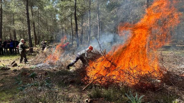 Orman yangın sezonu başladı; açıkta ateş yakmak yasak