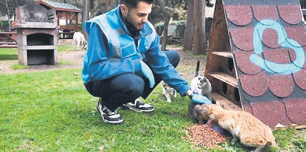 belediyelere-hayvan-barinagi-icin-17-marta-kadar-sure-1741383220852.jpeg